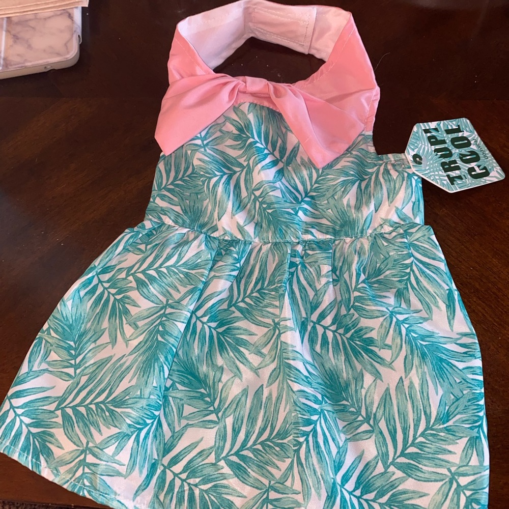 🐩 Dog Dress 👗